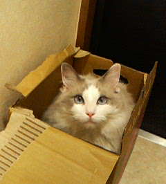 200610261451.jpg