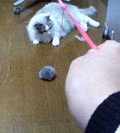 200701221825.jpg