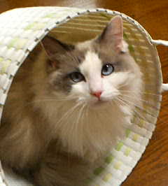 200703182207.jpg