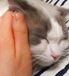 200704072212.jpg