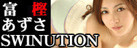 �ٳߤ����� SWINUTION �ý�