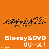 �֥�����󥲥��󿷷����:�ˡ�DVD��Blu-ray��!