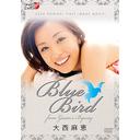 Blue Bird～from GUAM's BYWAY / 大西麻恵