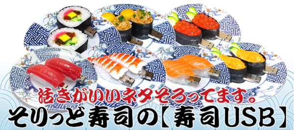 ���ʷ� USB���꡼