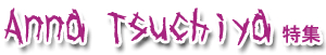 �ڲ������ �ý�