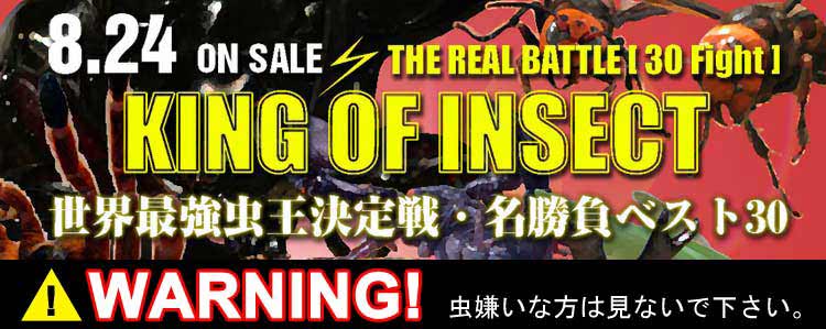 insect_header.jpg