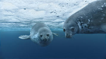 oceans_2.jpg